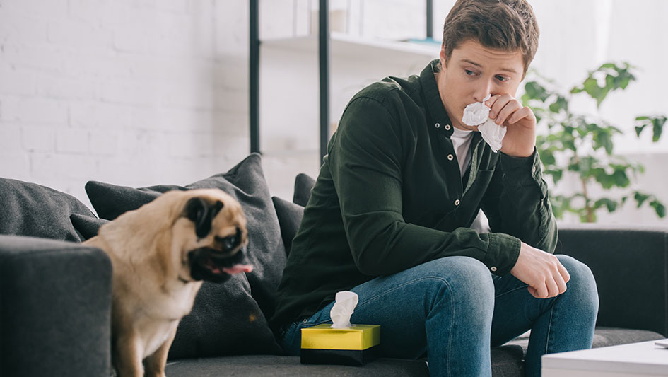 Purchasing an air purifier is one of the smartest methods to improve your house’s indoor air quality. Learn more about the three top options. 